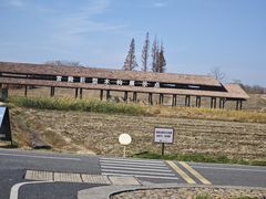 -良渚古城遗址公园