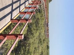 -北海金海湾红树林生态旅游区