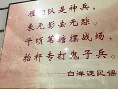 -白洋淀景区