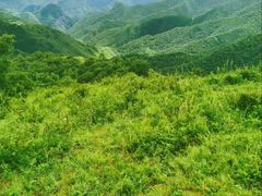 -灵山