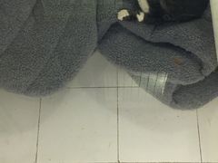 -娜娜家•Nana’Garden (福州道店)