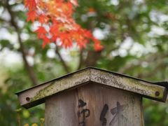 -常寂光寺