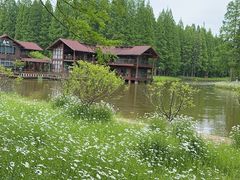 -黄海国家森林公园