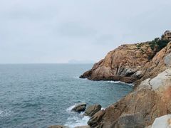 -广东惠东海龟国家级自然保护区