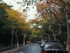 -青岛第二海水浴场