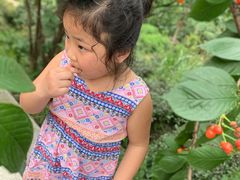 -樱桃山旅游景区