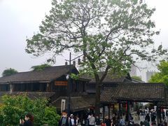 -运河游船(武林门码头)