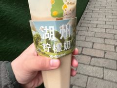 -猫的魔法密林(衣裳街店)