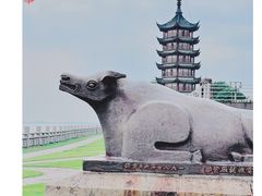-观潮胜地公园
