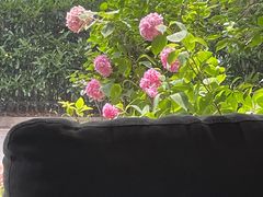 -觅境西餐厅