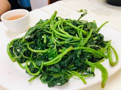 鸡油番薯叶-醉贤居