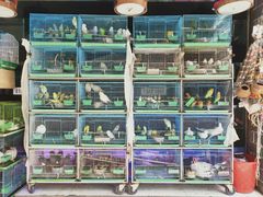 -王浩儿纪六孃甜皮鸭(东大街店)