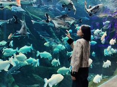 -哈尔滨波塞冬海底世界
