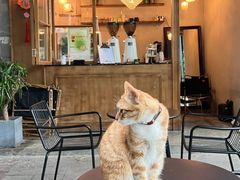 -麦当劳(中山八路店)