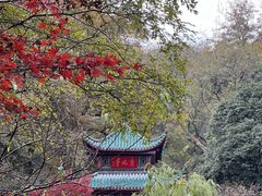 -岳麓山风景名胜区