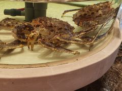 -白金汉爵大酒店-24小时餐厅