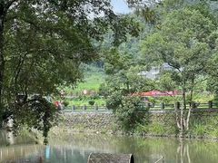-清凉山国家森林公园