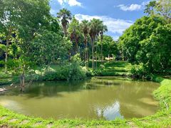 -四季酒店下午茶