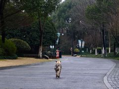 -杭州城北体育公园