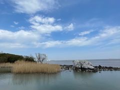 -上海吴淞炮台湾国家湿地公园