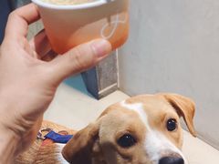 -Dip in Gelato(富民路店)