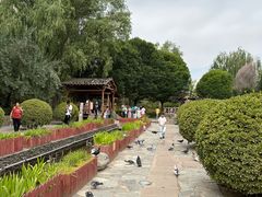 -水车博览园