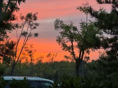 -爪吧宠物乐园 (温榆河示范区店)