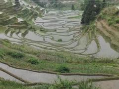 -紫鹊界梯田景区
