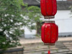 -金泽古镇