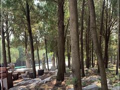 -原山国家森林公园