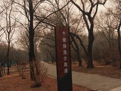 -北陵公园