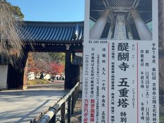 -醍醐寺