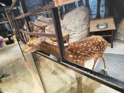 点击看大图 -酷嗒动物文化乐园(cutezoo西溪乐天城店)