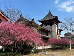 -浙江大学（紫金港校区）求是书院