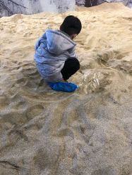 点击看大图 -恐龙探索乐园(磁器口店)