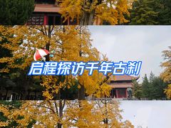 -苏州文庙(姑苏区)