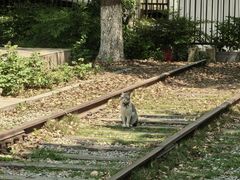 -中国京杭大运河博物馆