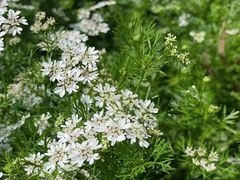 -东天目山风景区