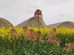 -中国天府农业博览园