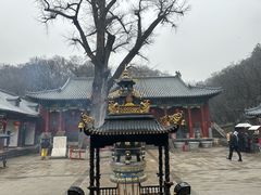 -青檀寺景区