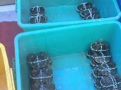 -蟹天蟹地农家菜·阳澄湖大闸蟹(浅水湾店)