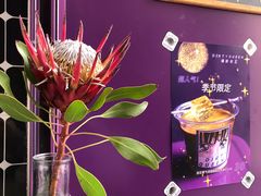 -HANA COFFEE(长寿路店)