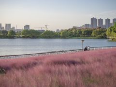 -贡湖湾湿地公园
