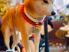 -COVA(新天地Xintiandi店)