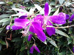 -人民公园(罗湖区)