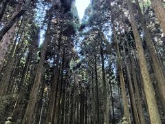 -上色见熊野座神社