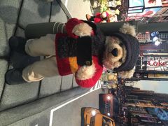 泰迪熊博物馆-济州岛泰迪熊博物馆