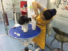 -瑞派宠物医院·24小时骨科·心脏·核磁(哈尔滨南岗店)