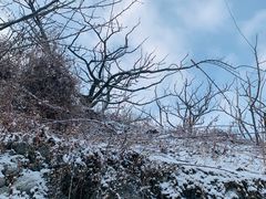 -太子岭滑雪场