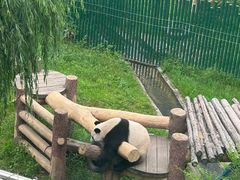 -沈阳森林动物园